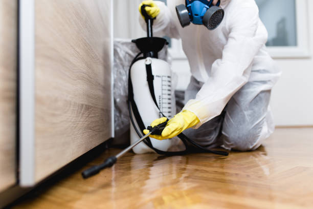 Best Cockroach Control Services  in Fullerton, PA