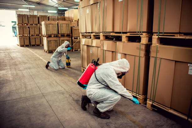 Wasp Removal Services in Fullerton, PA