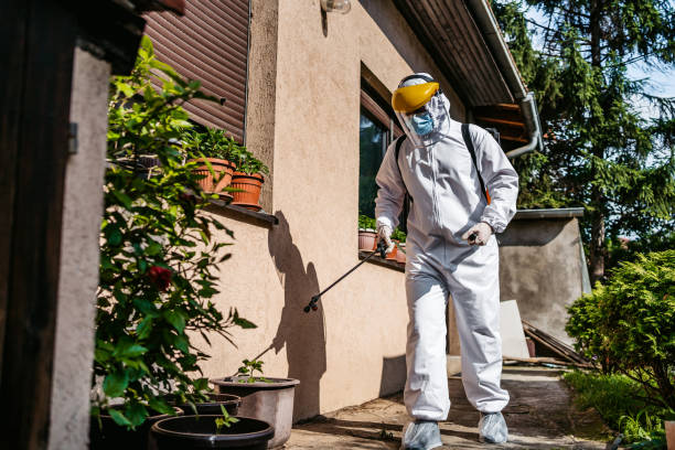 Best Emergency Pest Control  in Fullerton, PA