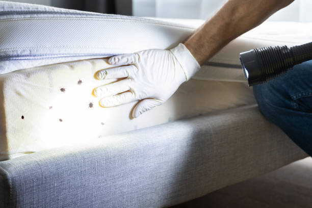 Best Pest Prevention Services  in Fullerton, PA