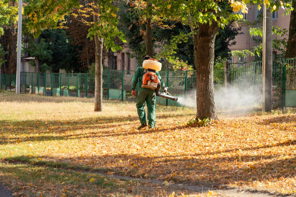 Best Bird Control  in Fullerton, PA