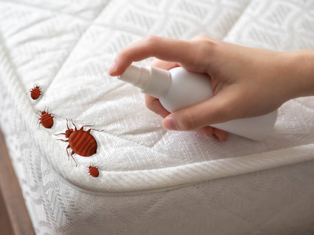 Best Best Pest Control Companies  in Fullerton, PA